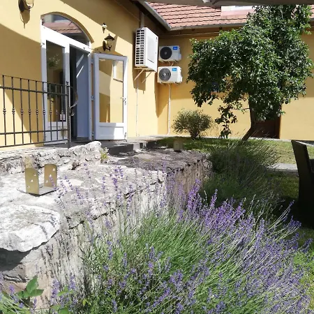 Guest house Malom-to Vendeghaz
