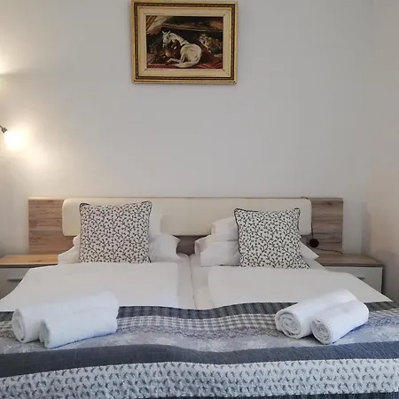 Guest house Malom-to Vendeghaz
