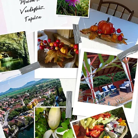 Malom-to Vendeghaz Guest house *