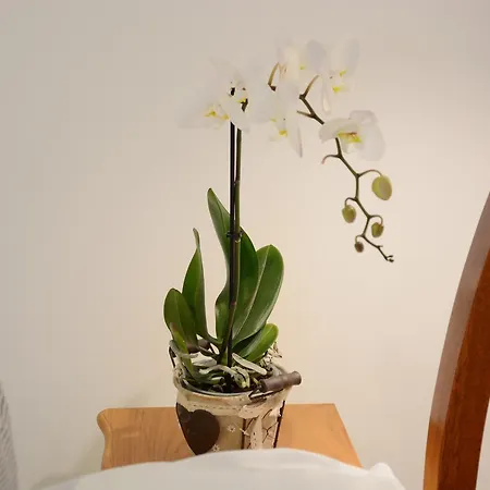 Malom-to Vendeghaz بيت ضيافة 4*