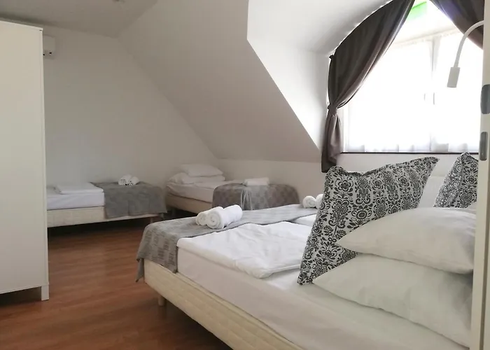 Guest house Malom-to Vendeghaz