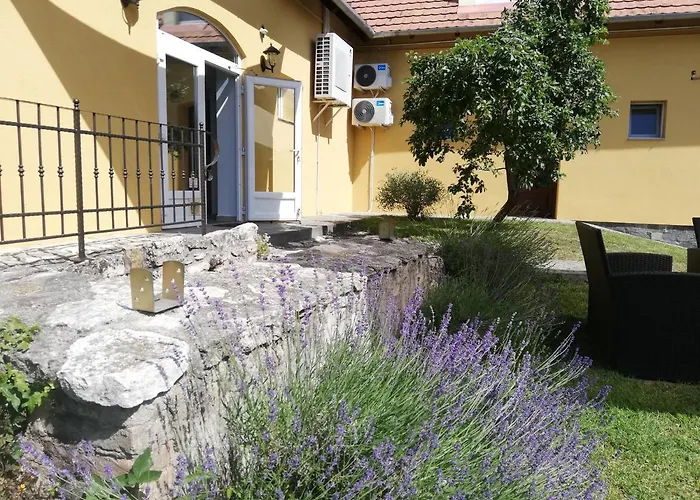 Guest house Malom-to Vendeghaz