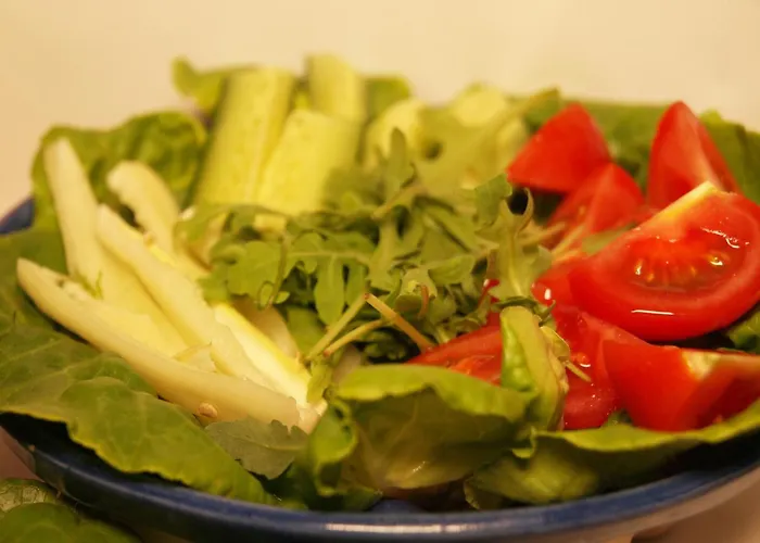 Malom-to Vendeghaz 4*