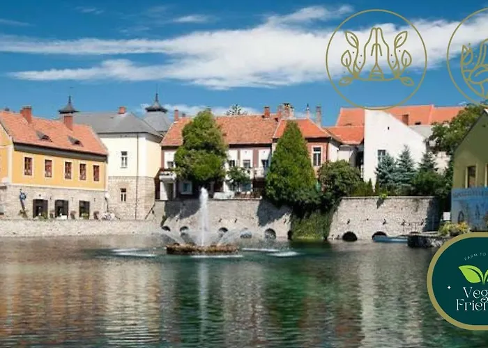 招待所 Malom-to Vendeghaz