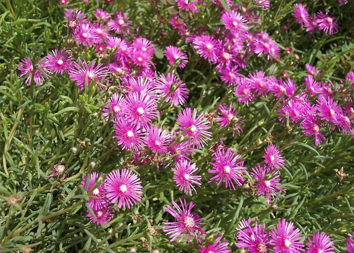 בית הארחה Malom-to Vendeghaz 4*