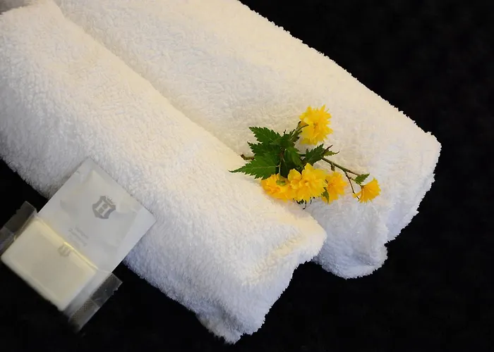 Malom-to Vendeghaz 4* 陶波尔曹