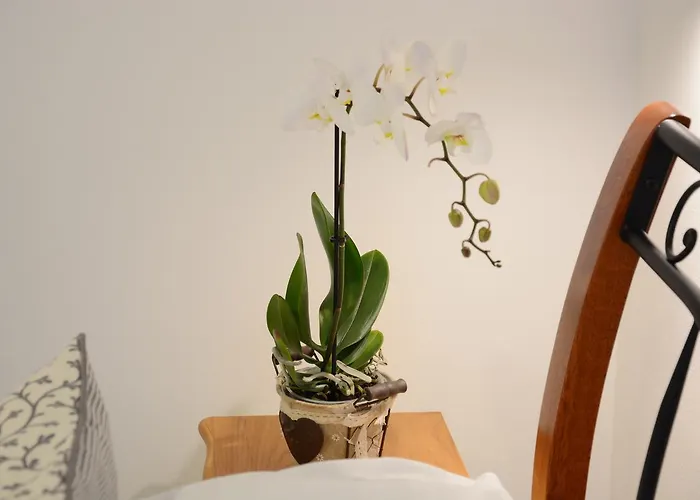 Malom-to Vendeghaz Guest house 4*