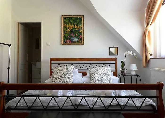 Guest house Malom-to Vendeghaz 4*