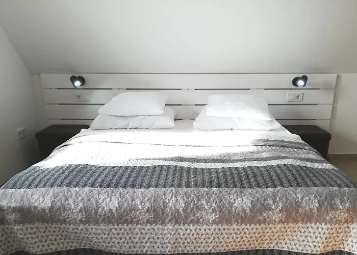 Malom-to Vendeghaz Guest house